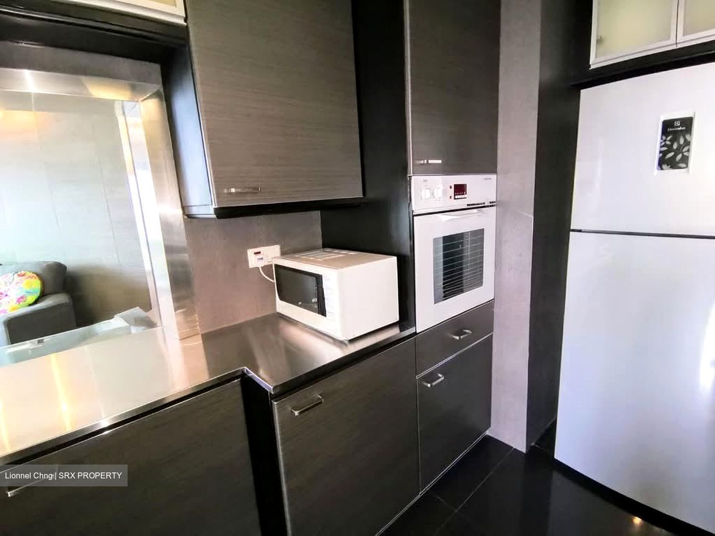 Valley Park (D10), Condominium #551178261